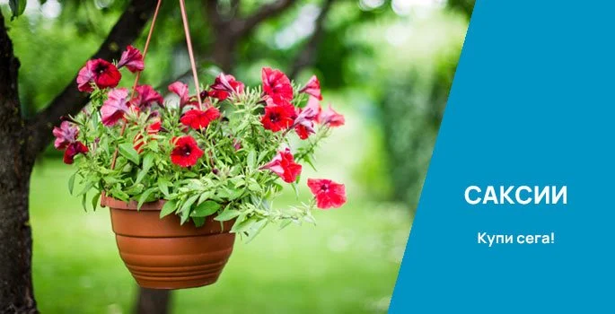 Разгледайте всички предложения за Вашия дом