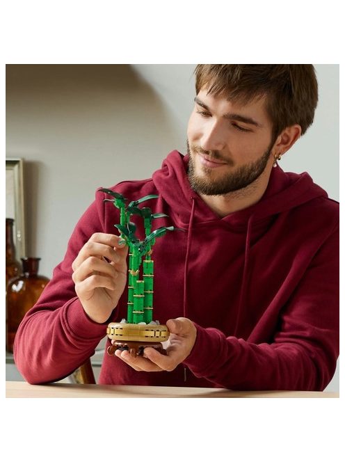 LEGO® Icons The Botanical Collection: Бамбук за късмет, Lucky Bamboo, 10344