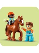 LEGO DUPLO Грижа за животните във фермата, Farm Animal Care, 10416