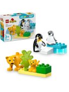 LEGO DUPLO Семействата на дивите животни: пингвини и лъвове, Animal Families in the Wild: Penguins and Lions, 10442