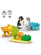 LEGO DUPLO Семействата на дивите животни: пингвини и лъвове, Animal Families in the Wild: Penguins and Lions, 10442