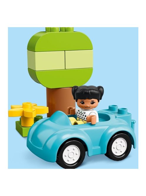 LEGO DUPLO Кутия с тухлички, 10913