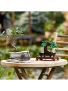 LEGO® Icons The Botanical Collection: Дърво бонсай, Bonsai Tree, 10281