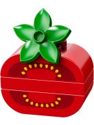 LEGO DUPLO Творчески пикник, Creative Picnic, 10566