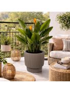 Пластмасова саксия с райе дизайн мока 36x36.5cm, 16 л