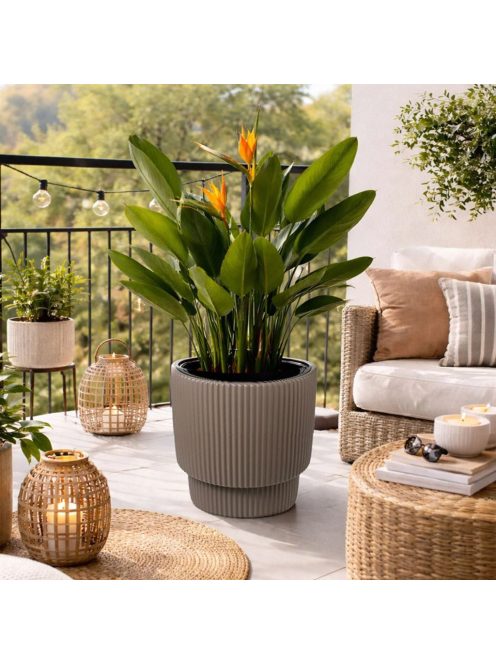 Пластмасова саксия с райе дизайн мока 36x36.5cm, 16 л