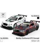 Метална кола 1:24 Bentley Continental GT3 Concept с отваряеми врати преден капак и багажник