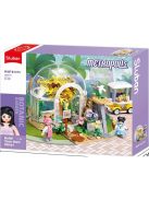 Конструктор Sluban Girl's Dream: Метрополис Ботаническа Градина (299 ч.) с 3 фигурки, 38х29х7 cm