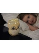 Нощна прожекционна лампа БУХАЛ за детска стая от CloudB Twilight Sunshine Owl, classic